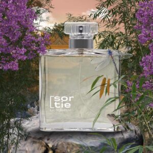 perfume-equivalencia-bad-boy-carolina-herrera