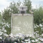 equivalencia-loewe-7-perfume