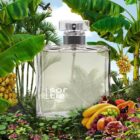 givenchy-irresistible-similar-perfume