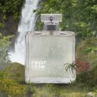 gucci-rush-imitacion