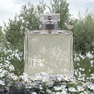 perfume-imitacion-angel-schlesser