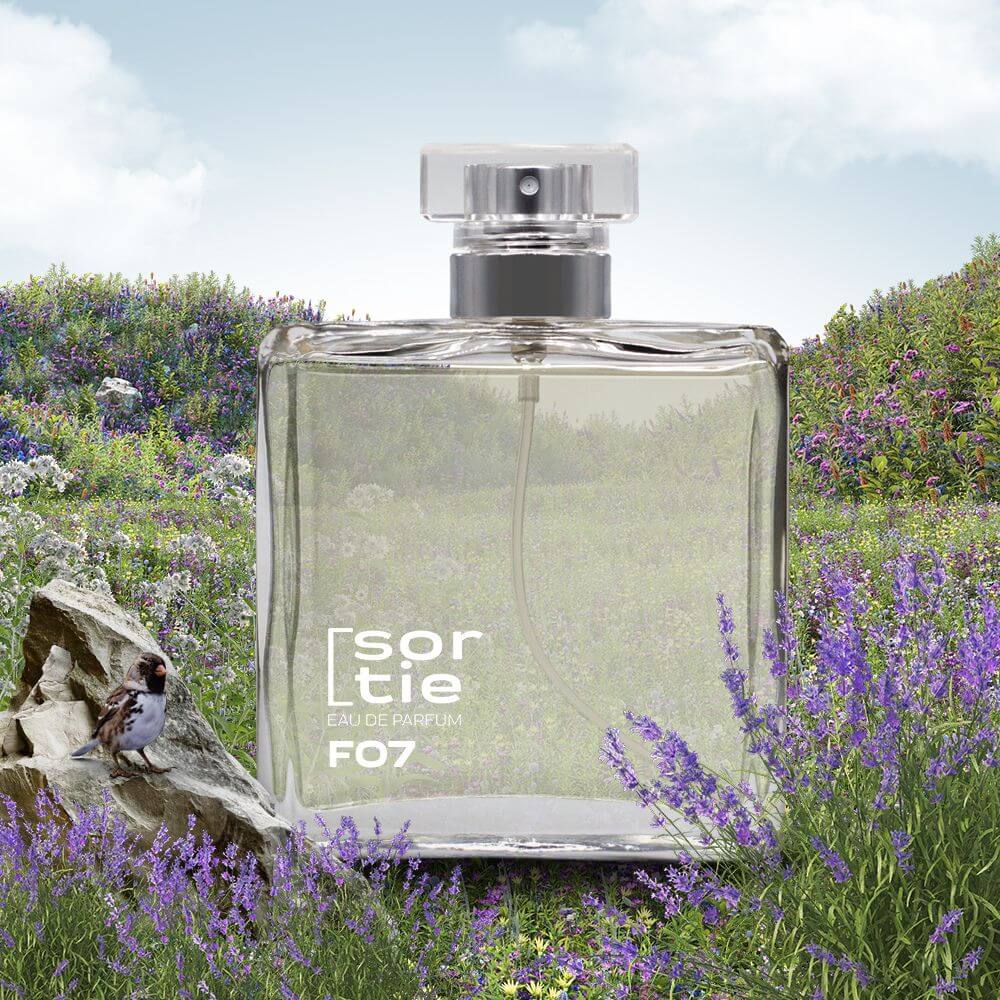 similar-equivalencia-parecido-good-girl similar-equivalencia-parecido-good-girl