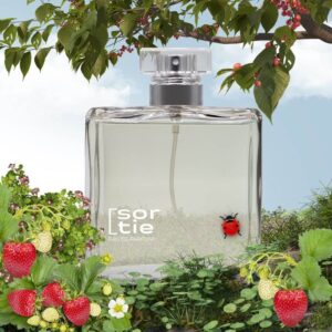 mejores-equivalencias-perfumes-mujer-similar-a-q-dolce-gabanna