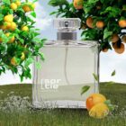 tom-ford-neroli-portofino-imitacion