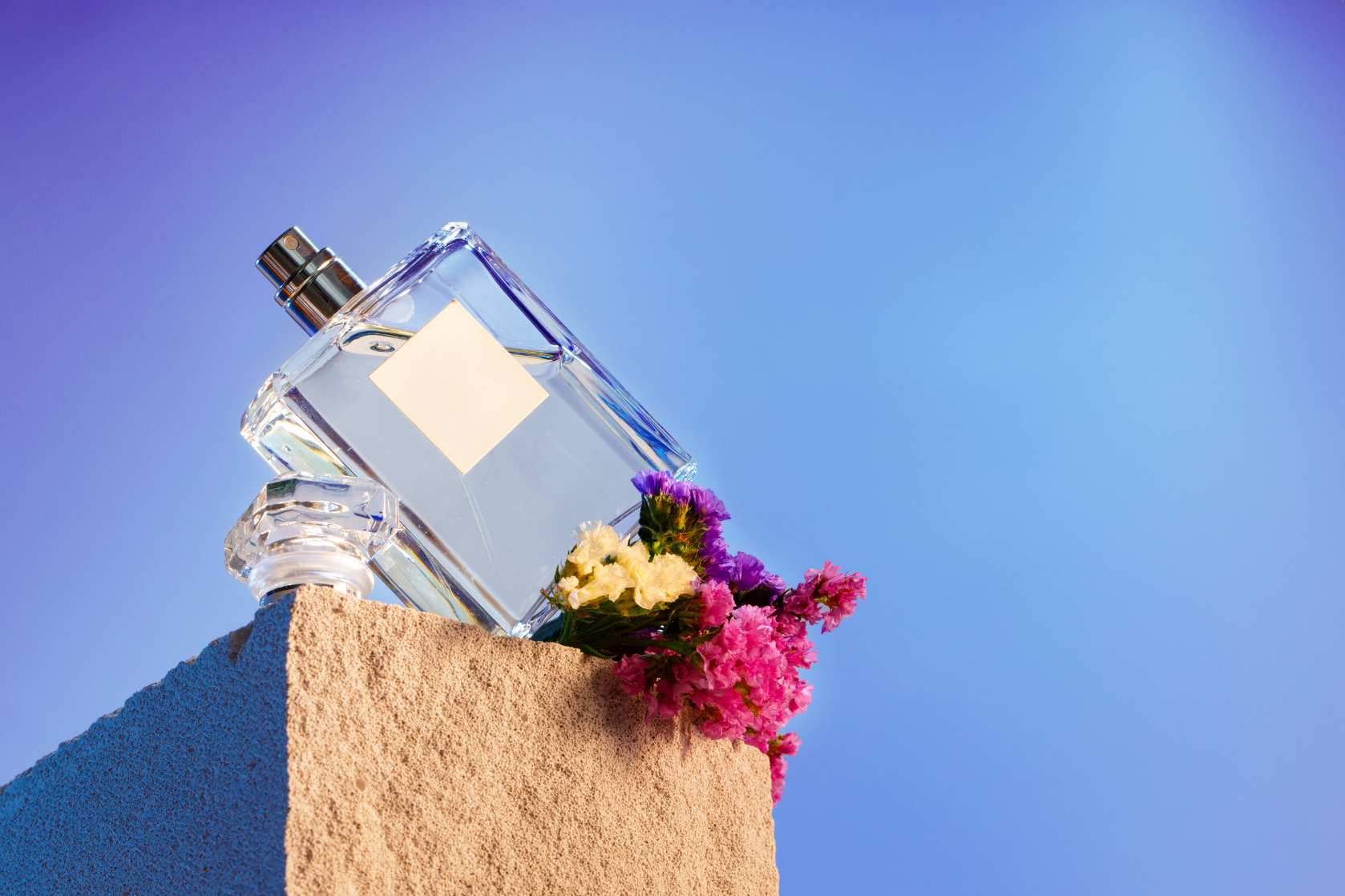 Dónde comprar las mejores réplicas de perfumes